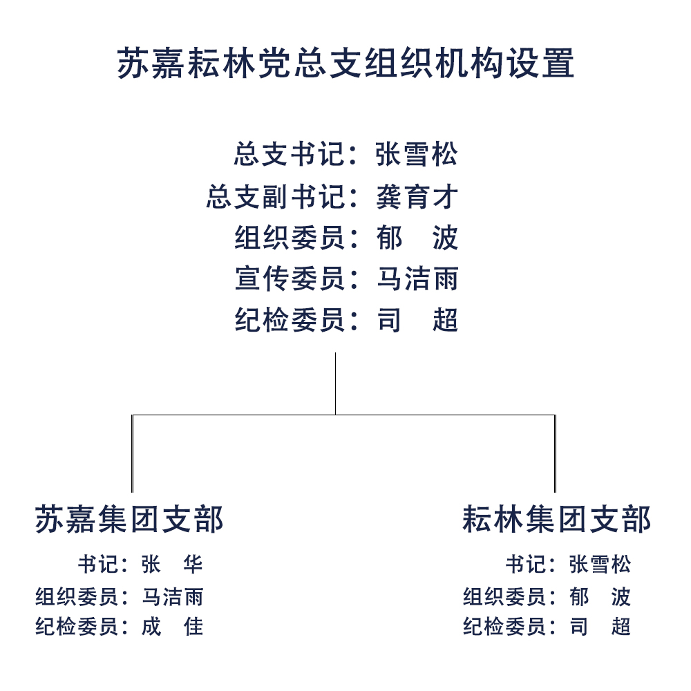 全年资料大全